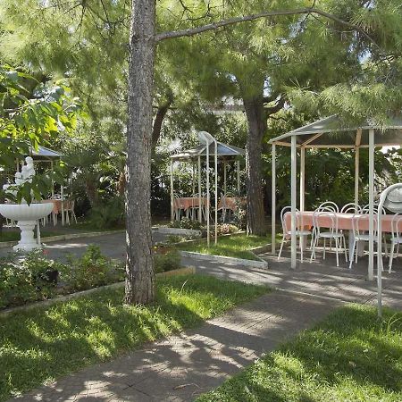 Hotel La Maestra Grottammare Exteriör bild