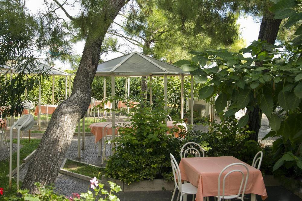 Hotel La Maestra Grottammare Exteriör bild
